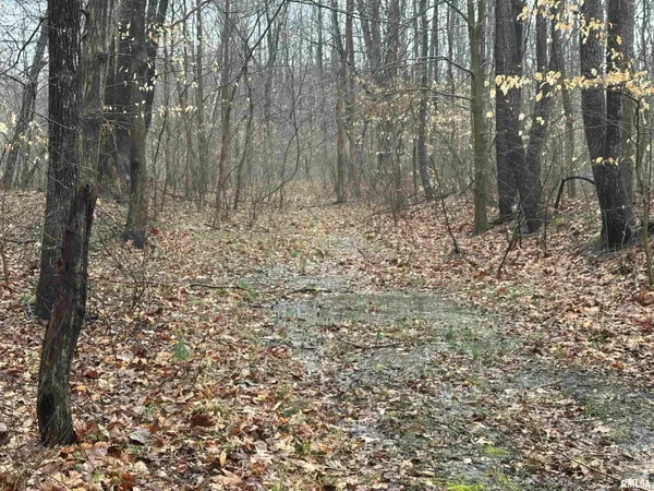 $599,000 | 1300 Shoal Creek Road, Murphysboro, IL 62966
