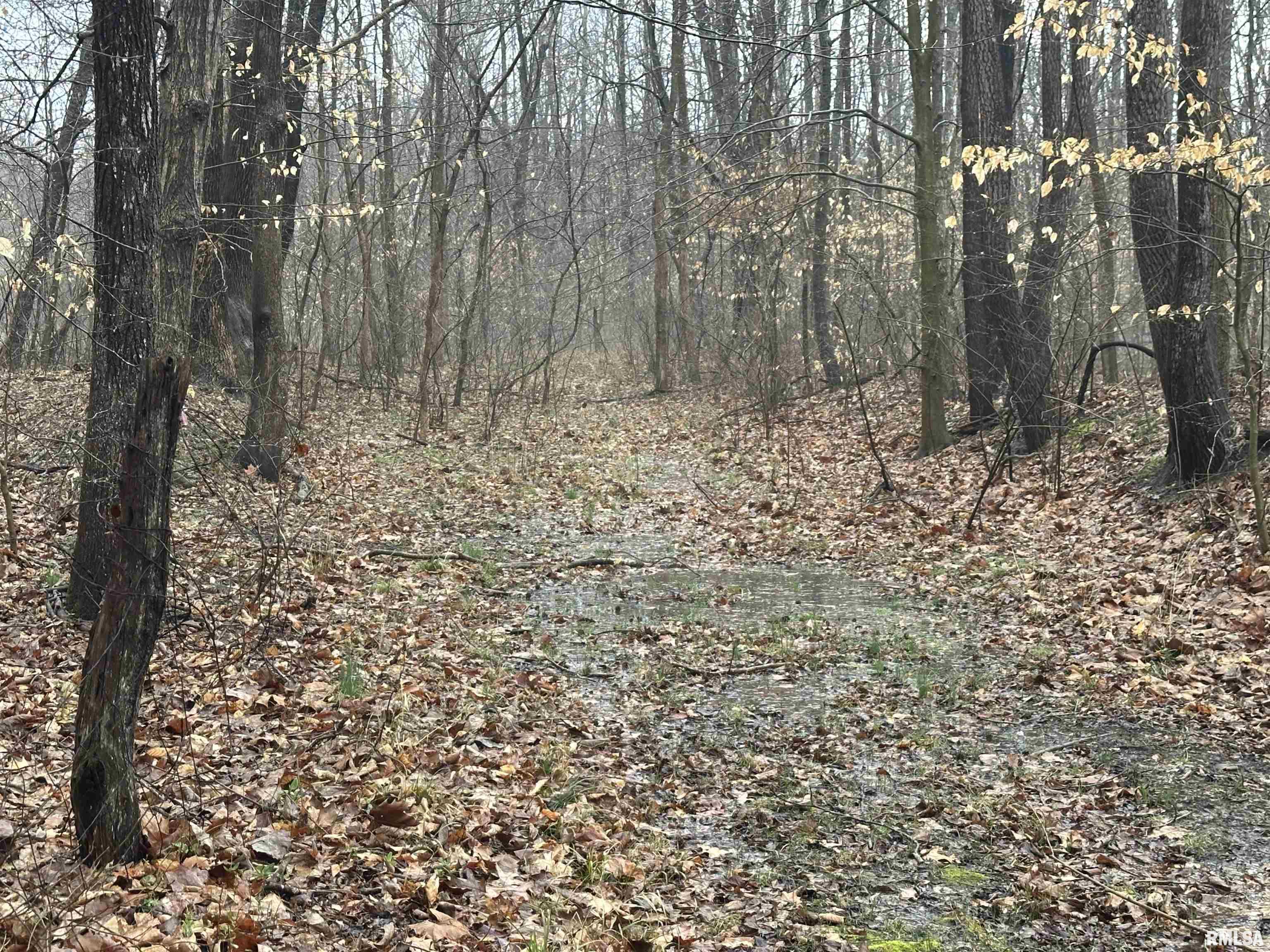 1300 Shoal Creek Road Murphysboro, IL 62966 - Photo 42 of 52