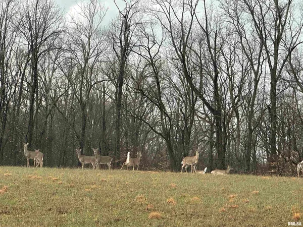 $599,000 | 1300 Shoal Creek Road, Murphysboro, IL 62966