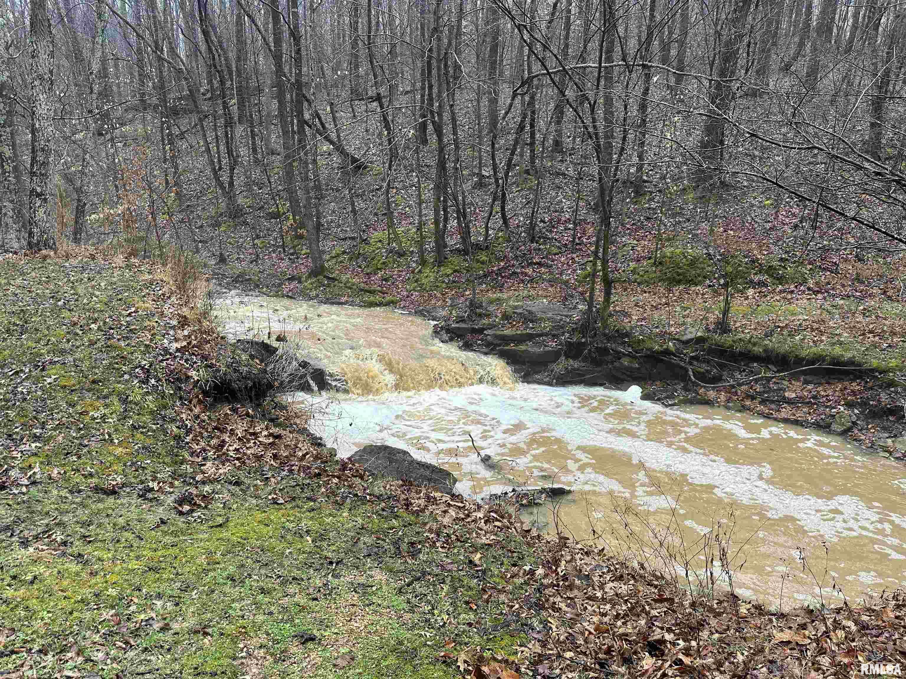 1300 Shoal Creek Road Murphysboro, IL 62966 - Photo 45 of 52