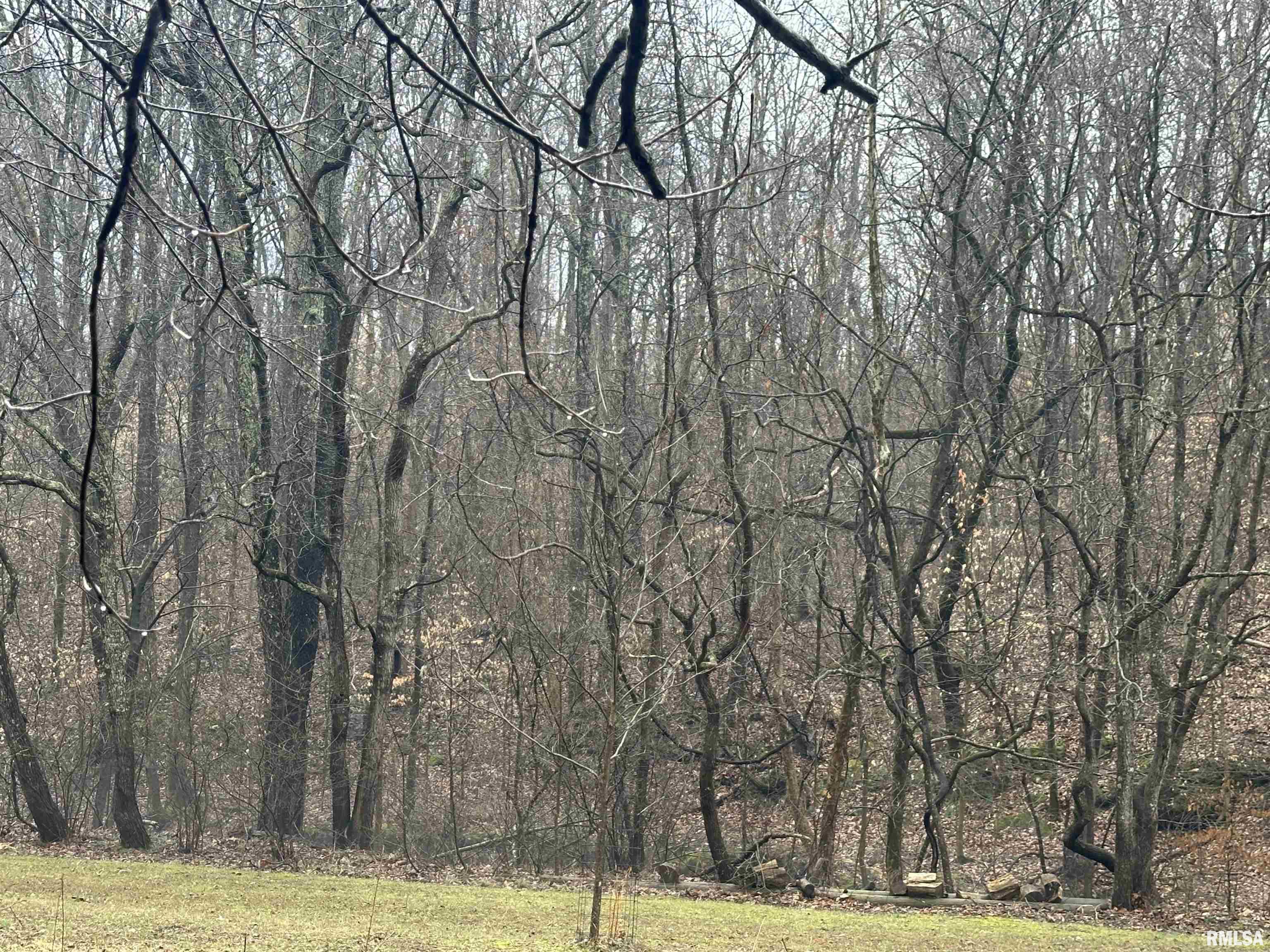 1300 Shoal Creek Road Murphysboro, IL 62966 - Photo 46 of 52