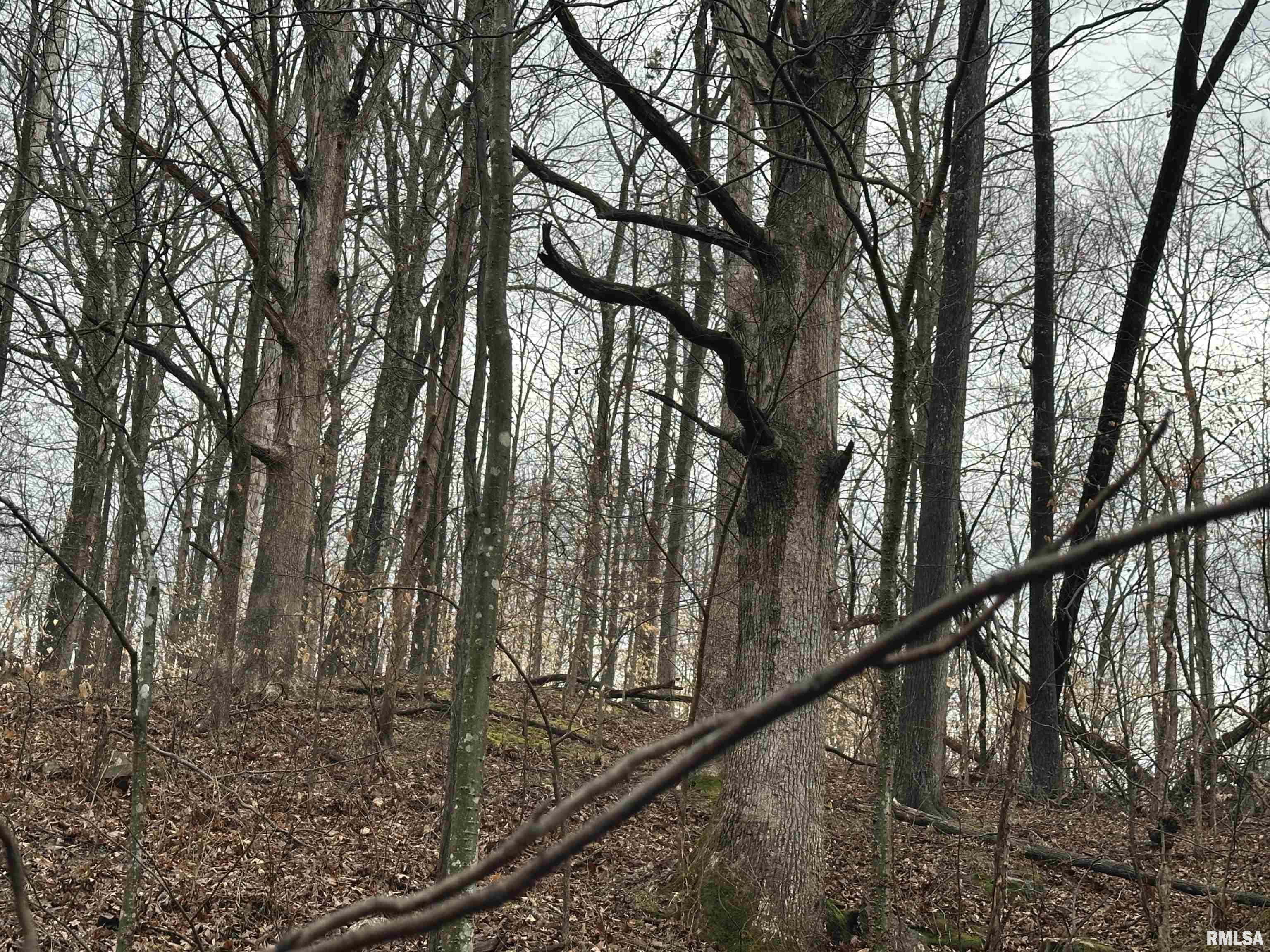 1300 Shoal Creek Road Murphysboro, IL 62966 - Photo 47 of 52