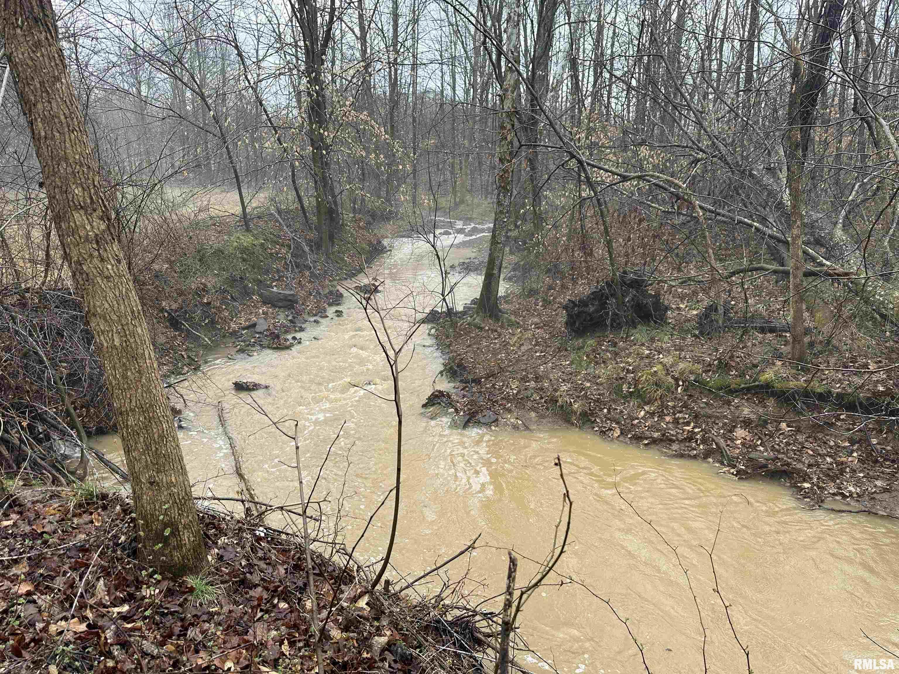 1300 Shoal Creek Road Murphysboro, IL 62966 - Photo 48 of 52