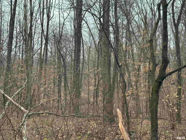 $599,000 | 1300 Shoal Creek Road, Murphysboro, IL 62966