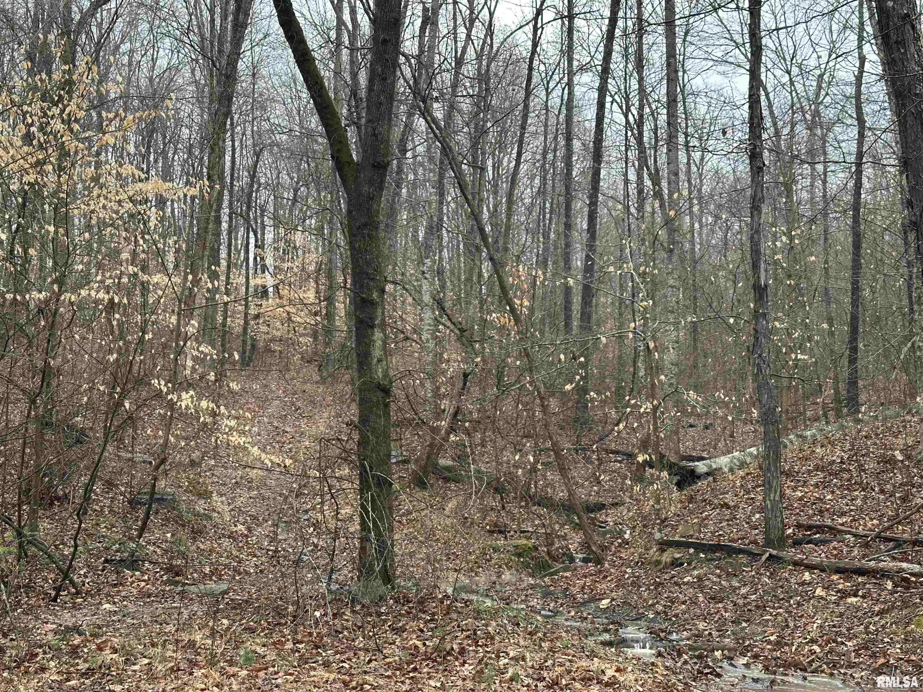 1300 Shoal Creek Road Murphysboro, IL 62966 - Photo 50 of 52