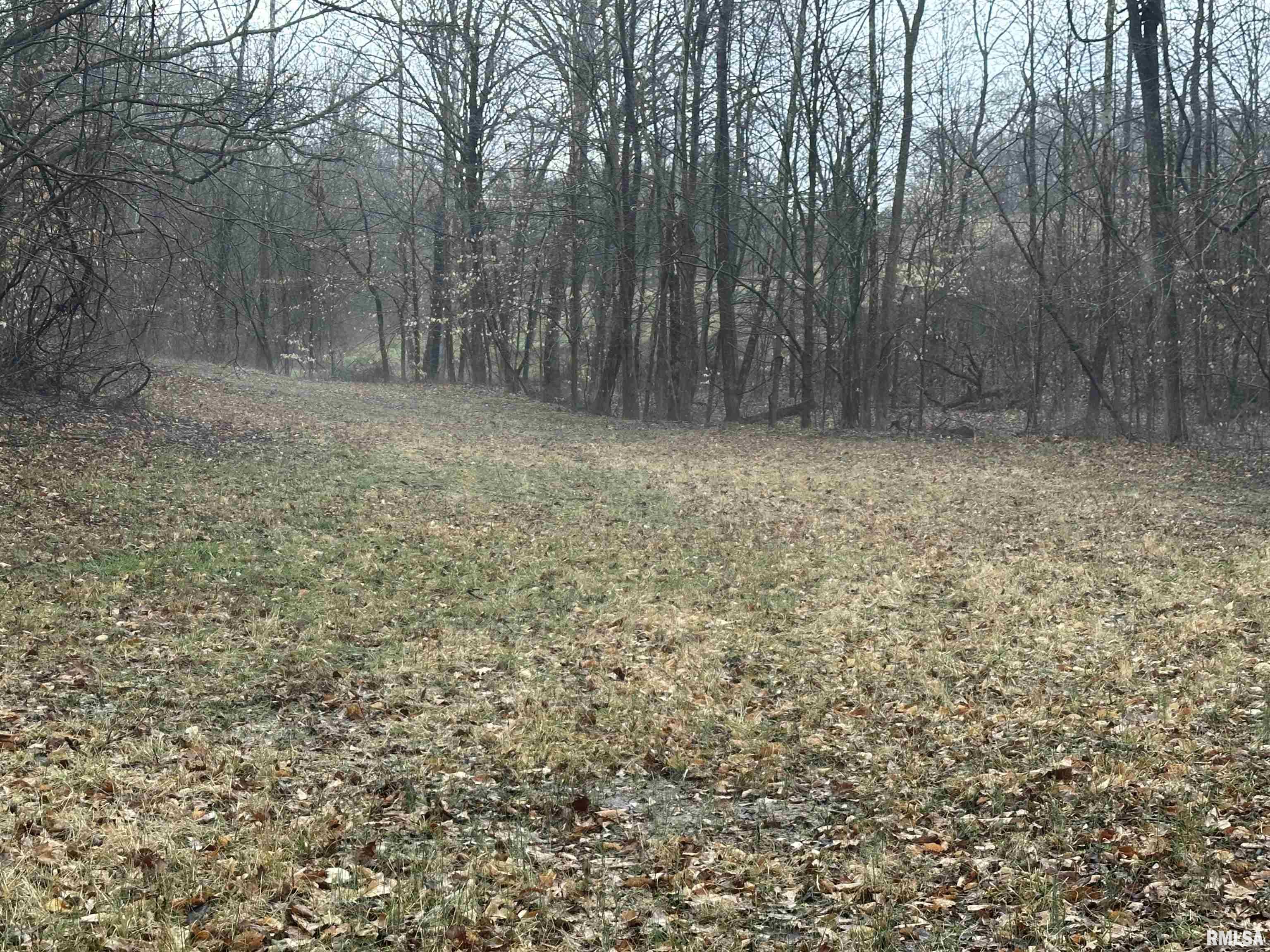 1300 Shoal Creek Road Murphysboro, IL 62966 - Photo 51 of 52