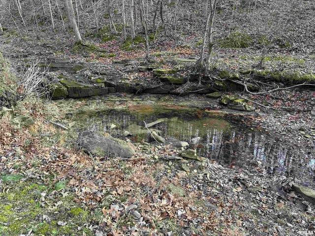 $675,000 | 1300 Shoal Creek Road, Murphysboro, IL 62966