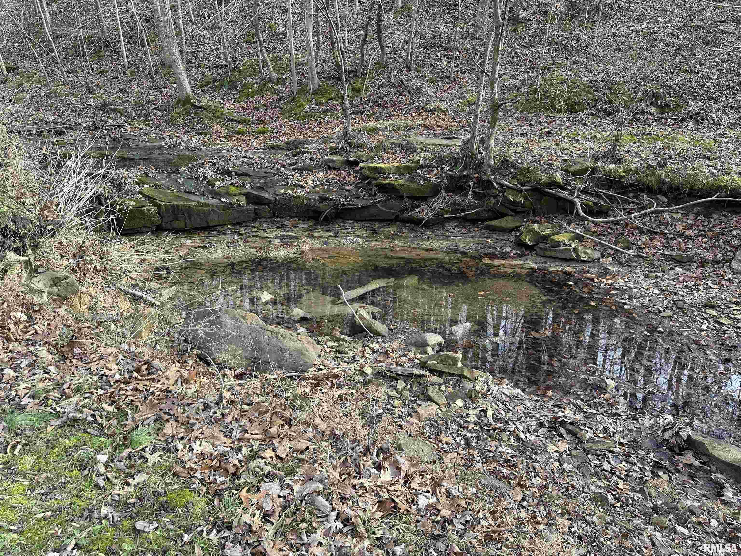 1300 Shoal Creek Road Murphysboro, IL 62966 - Photo 9 of 28