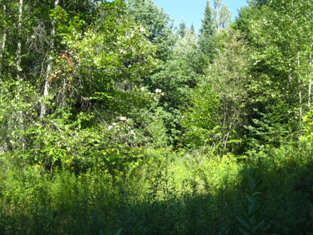0 Wells Road Irasburg, VT 05845 - Photo 3 of 7