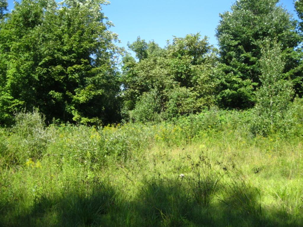 0 Wells Road Irasburg, VT 05845 - Photo 4 of 7