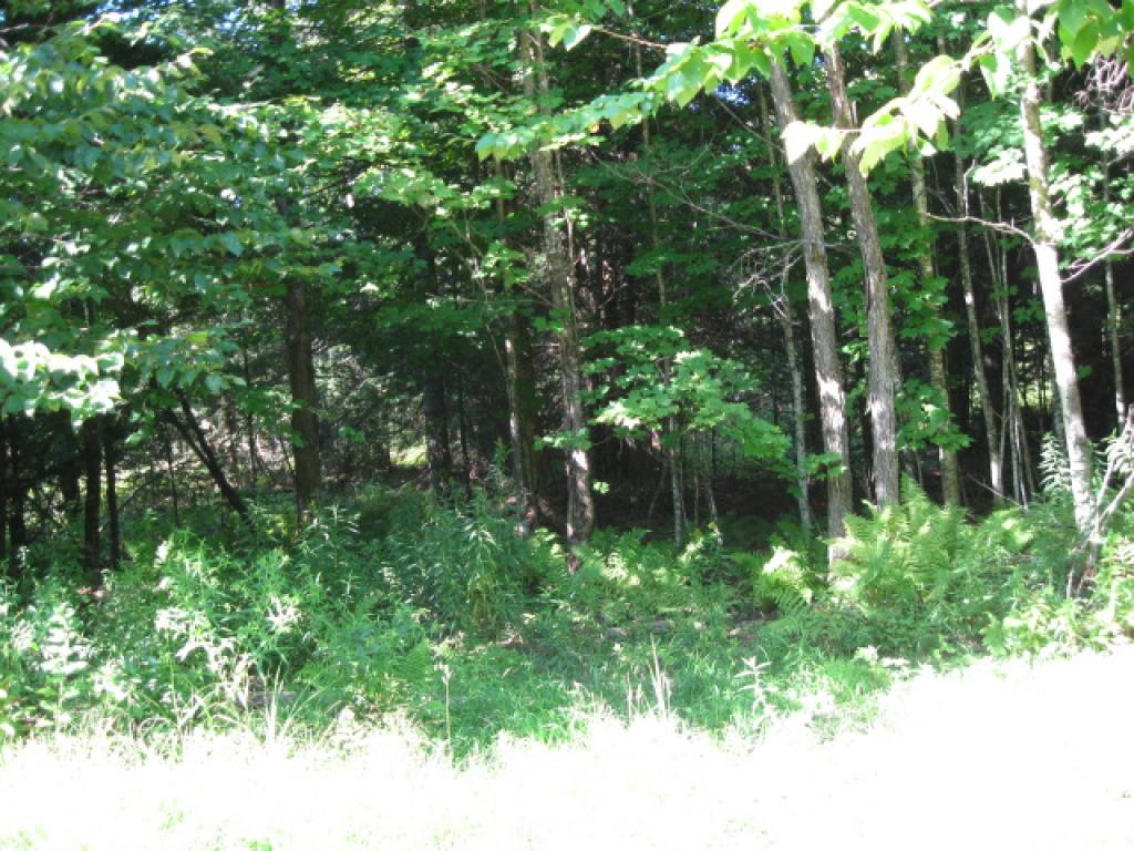 0 Wells Road Irasburg, VT 05845 - Photo 5 of 7
