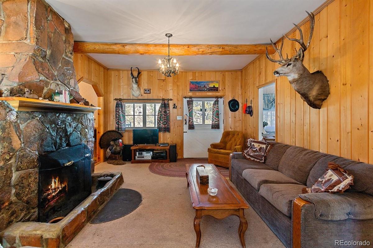 128 Waterworks Road Shawnee, CO 80475 - Photo 11 of 28 Gallery Image 11