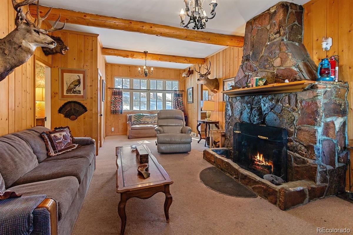 128 Waterworks Road Shawnee, CO 80475 - Photo 12 of 28 Gallery Image 12