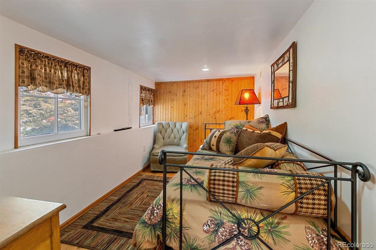 128 Waterworks Road Shawnee, CO 80475 - Photo 17 of 28 Gallery Image 17