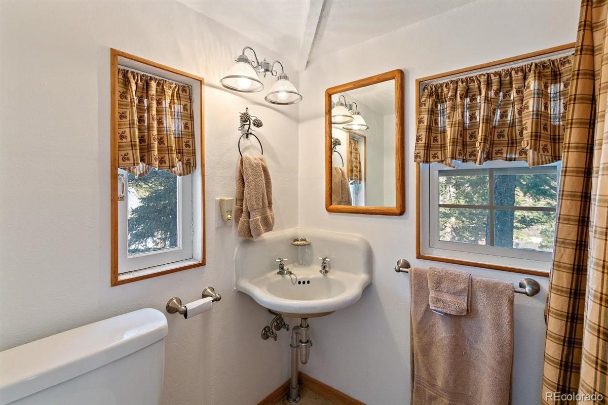 128 Waterworks Road Shawnee, CO 80475 - Photo 18 of 28 Gallery Image 18