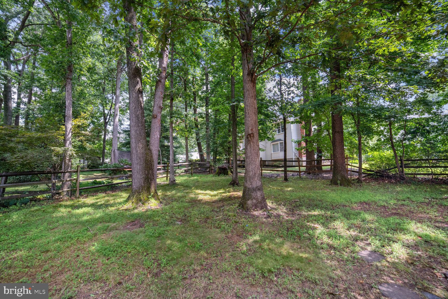 15519 Langside Street Silver Spring, MD 20905 - Photo 22 of 35 Backyard