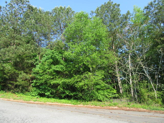 0 Hickory Ridge Trail, Unit 319 Ringgold, GA 30736 - Photo 1 of 1 IMG_1751