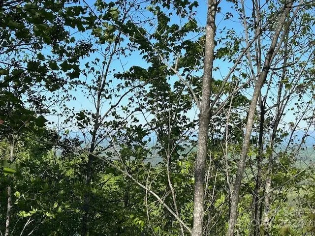 $43,950 | 0 Arbra Mountain Road, Bostic, NC 28018