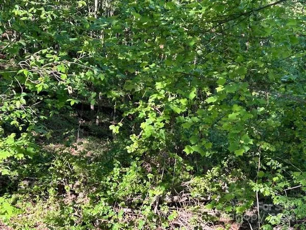 $43,950 | 0 Arbra Mountain Road, Bostic, NC 28018