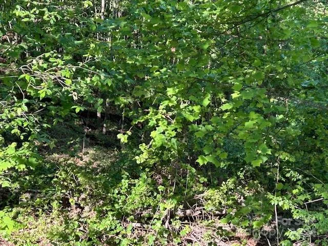 $43,950 | 0 Arbra Mountain Road, Bostic, NC 28018