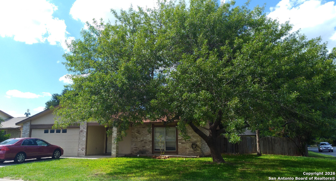 a view of a yard in front of a house with plants and large tree