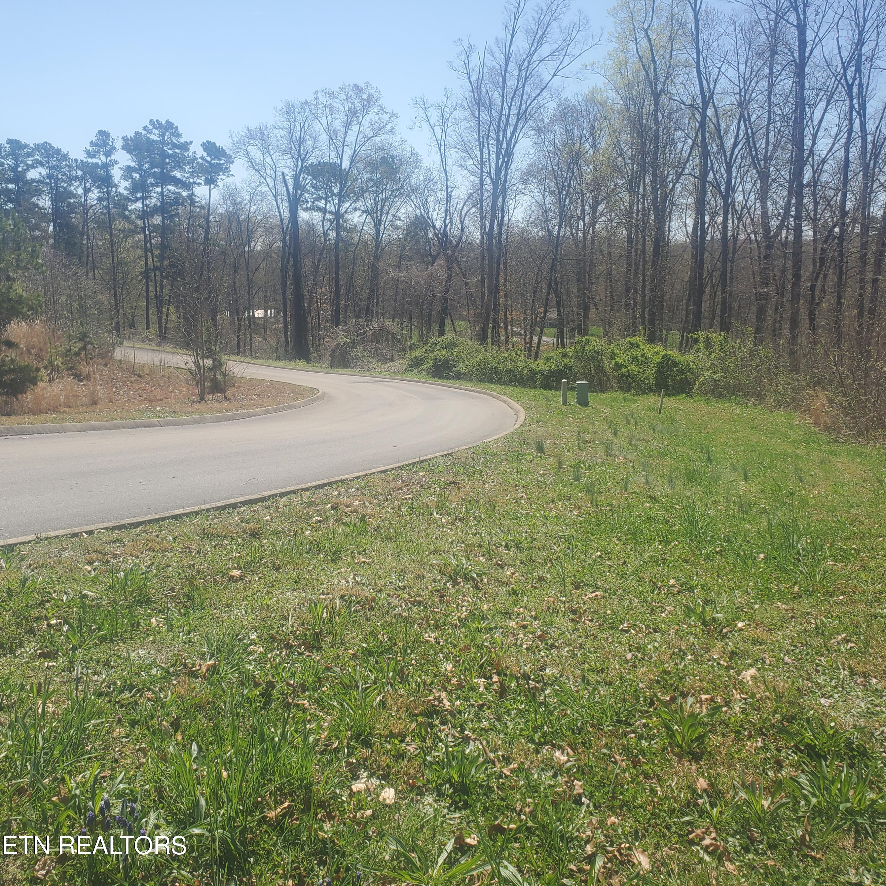 Lot 136 Tumbleweed Trail Rutledge, TN 37861 - Photo 9 of 26 Lot 136 Tumbleweed Trl - 9