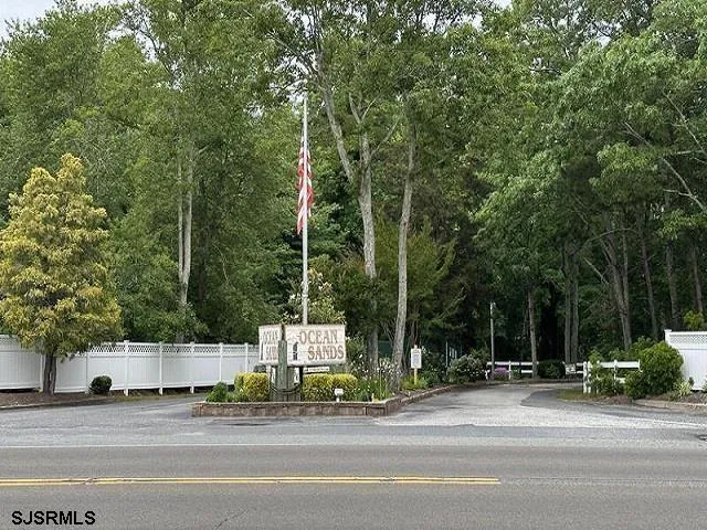 a view of a park that has a large tree