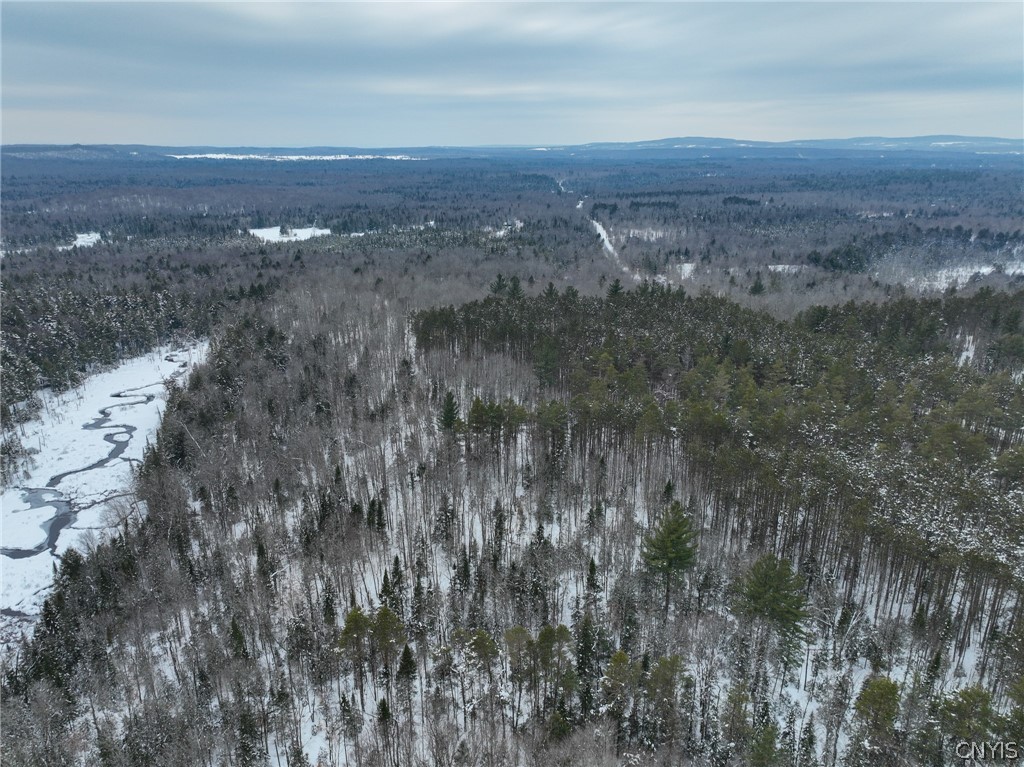 Lot#3 Roberts Road Remsen, NY 13438 - Photo 14 of 28