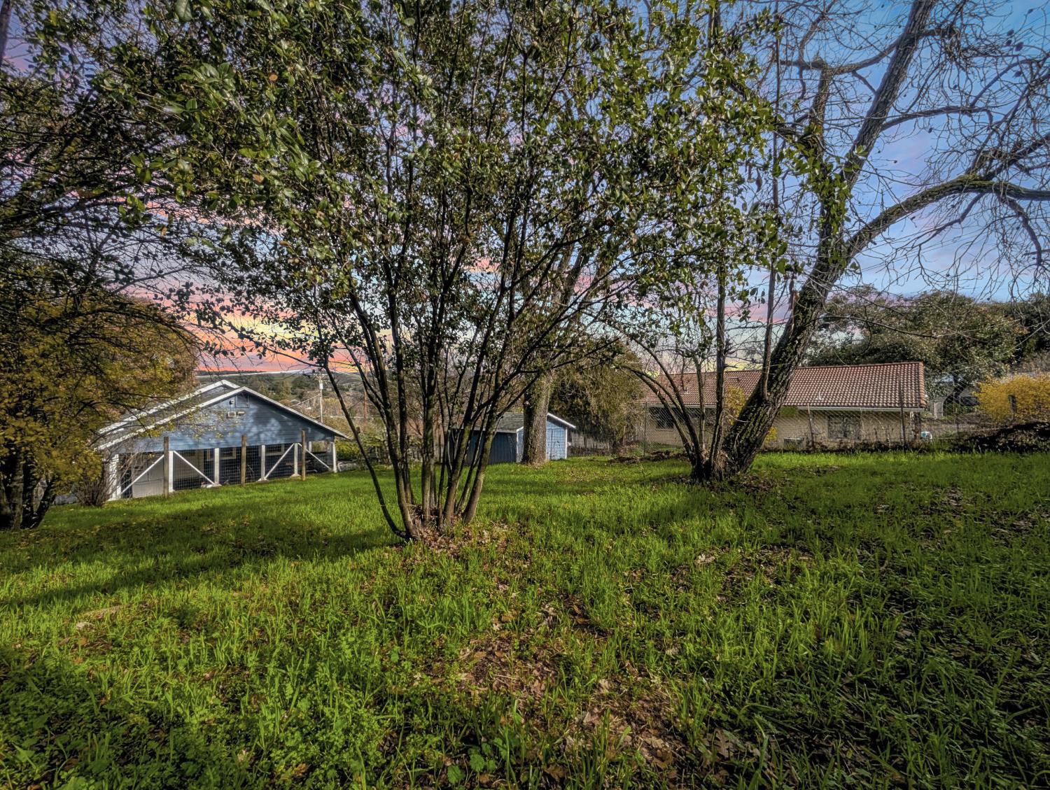 203 Market Street San Andreas, CA 95249 - Photo 3 of 54 a house view with a garden space