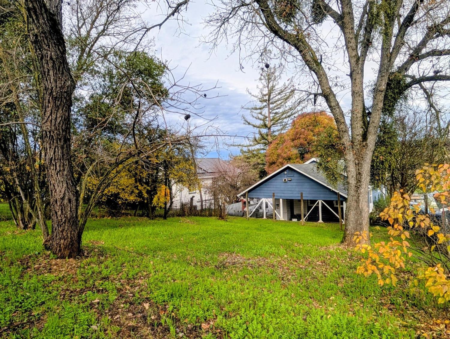 203 Market Street San Andreas, CA 95249 - Photo 37 of 54 a house view with a garden and trees