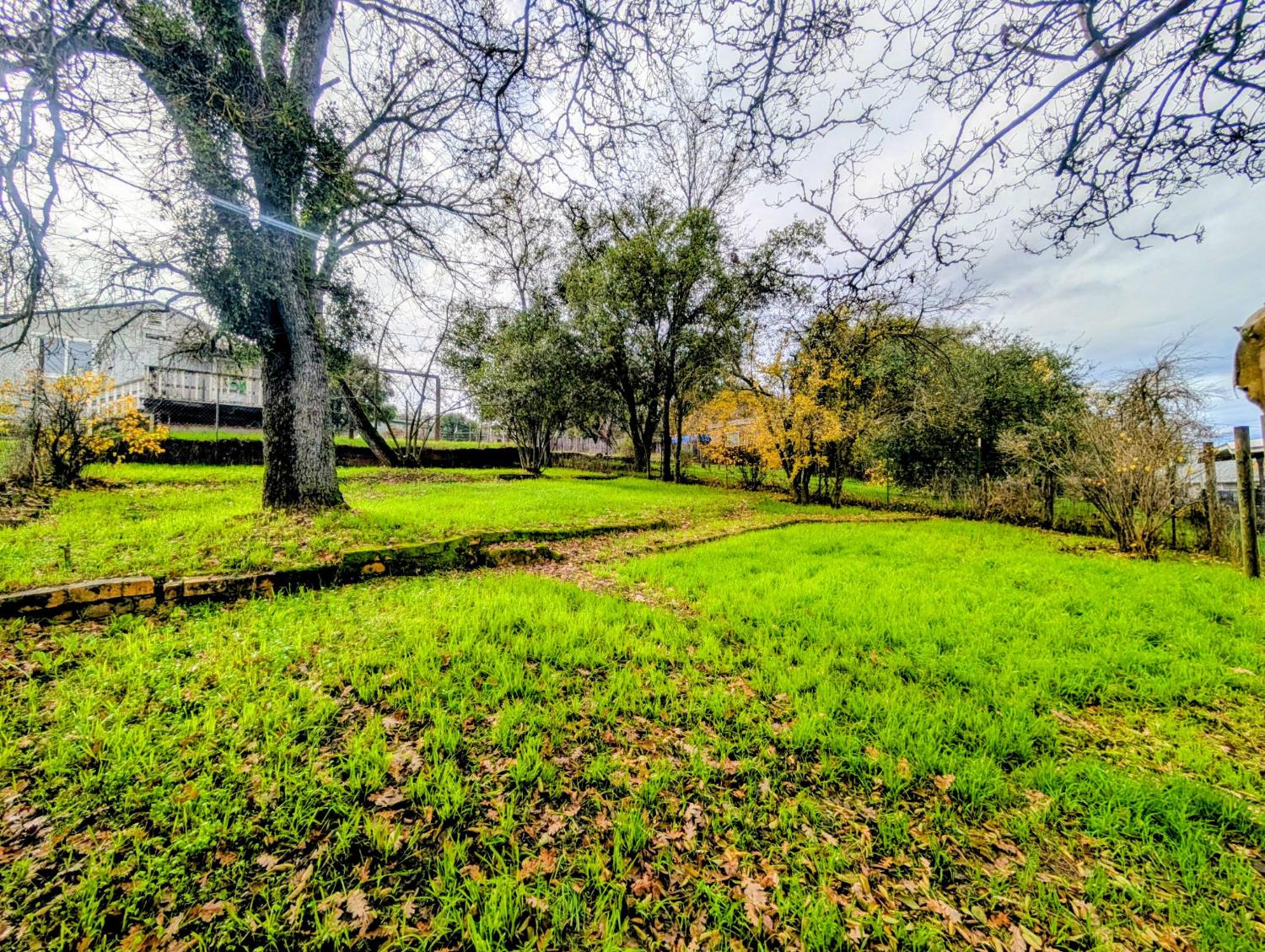 203 Market Street San Andreas, CA 95249 - Photo 39 of 54 a view of a park with large trees