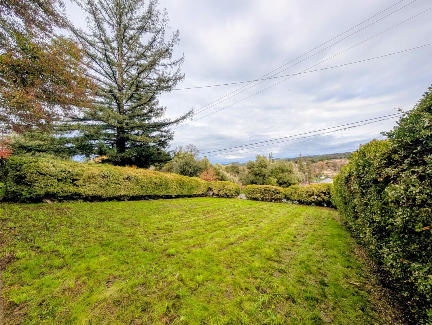 203 Market Street San Andreas, CA 95249 - Photo 51 of 54 a view of an ocean