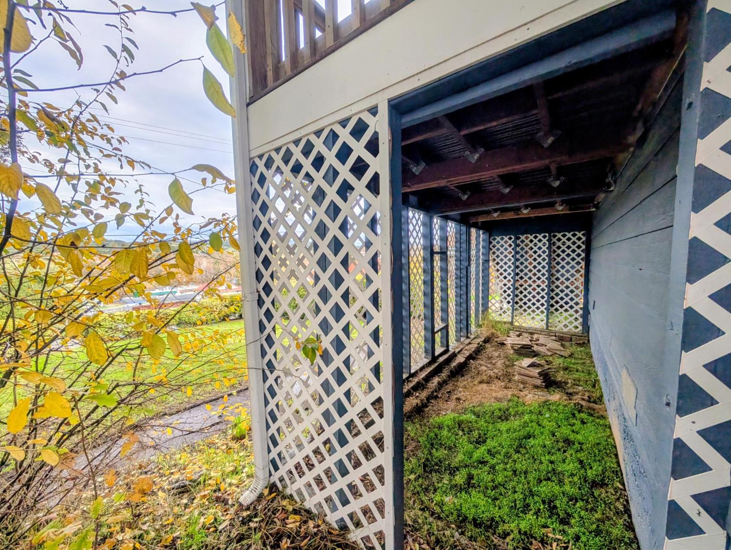 203 Market Street San Andreas, CA 95249 - Photo 52 of 54 a view of a yard of the house