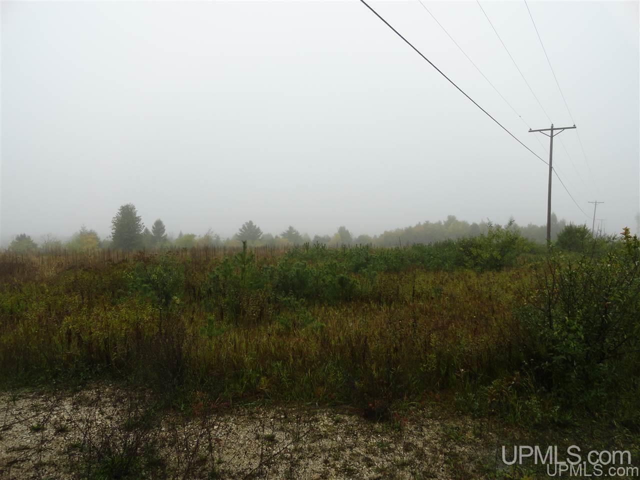 40-acres Davidson Road Manistique, MI 49854 - Photo 23 of 30 Gallery Image 23