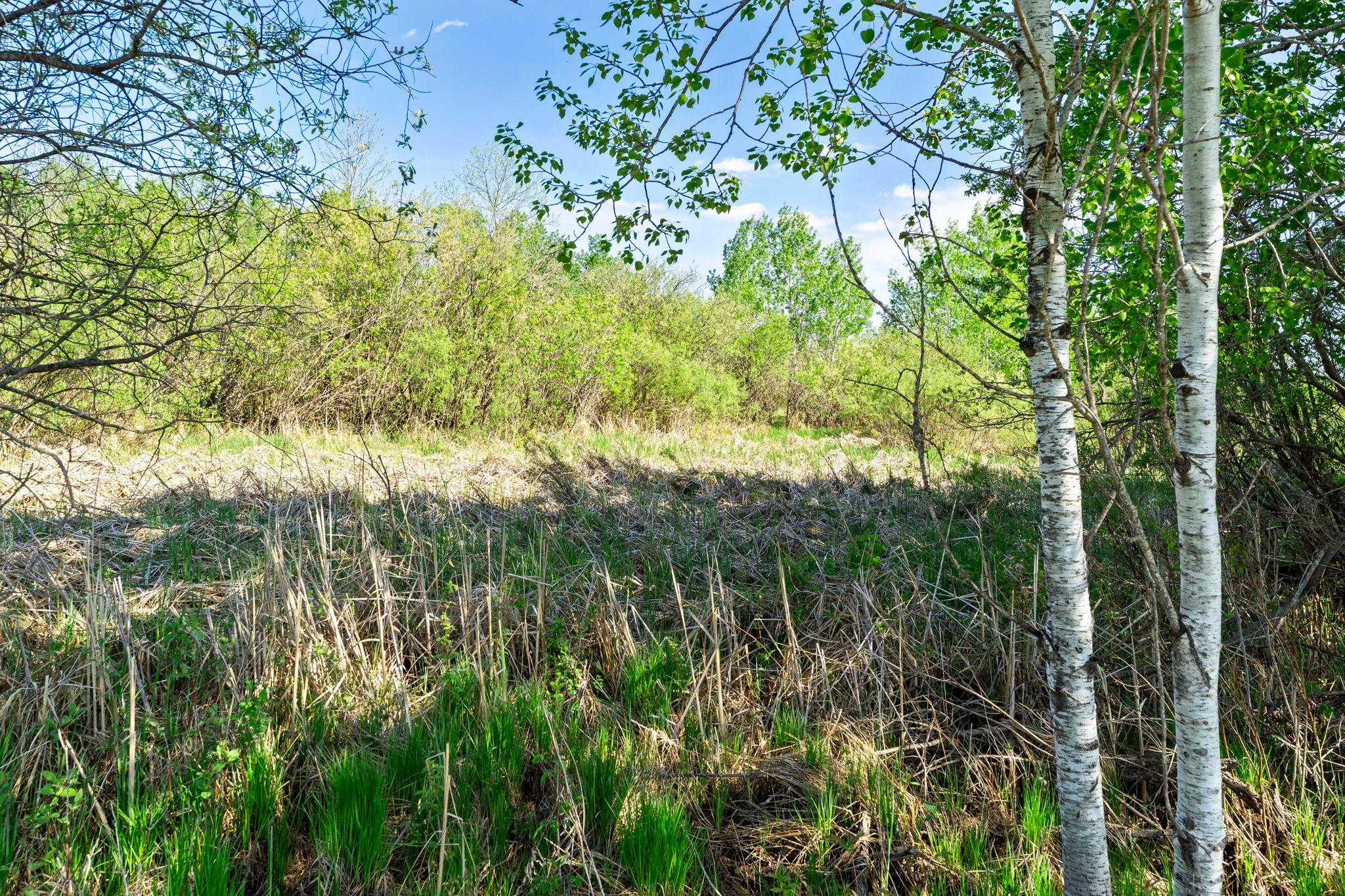 0 Xenon Road Northwest Dalbo, MN 55017 - Photo 13 of 29