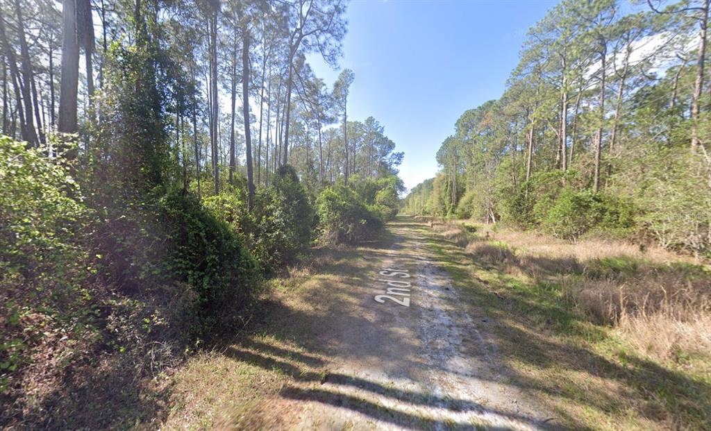 210 2nd Street Georgetown, FL 32139 - Photo 6 of 7 a view of outdoor space and trees