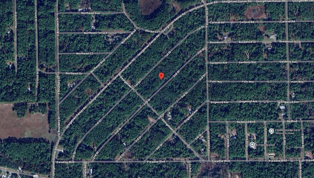 210 2nd Street Georgetown, FL 32139 - Photo 7 of 7 a bird view of a house