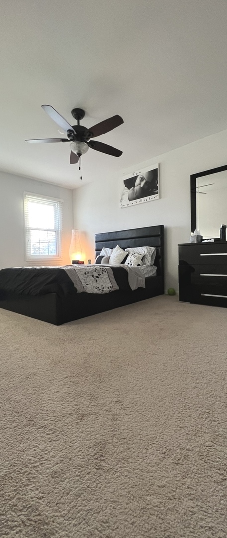 Undisclosed Address Schaumburg, IL 60173 - Photo 7 of 8 a view of room and window