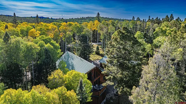 a view of a yard of a building