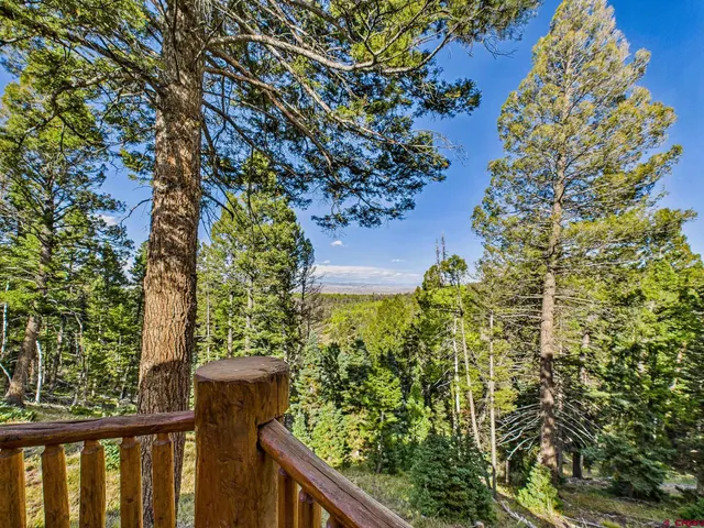 $870,000 | 160 Crest Drive, Cimarron, CO 81220