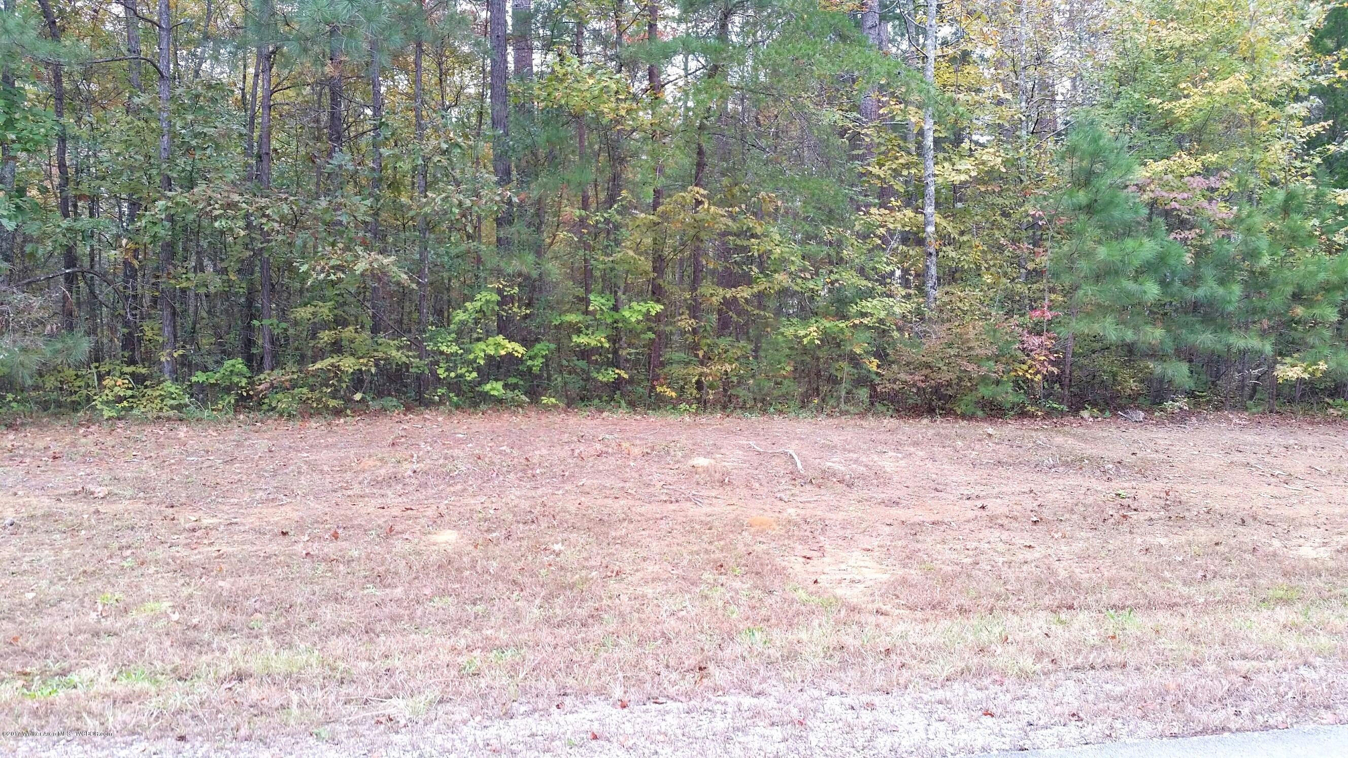 Lot 41 Co Road Crane Hill, AL 35053 - Photo 9 of 11 Gallery Image 9