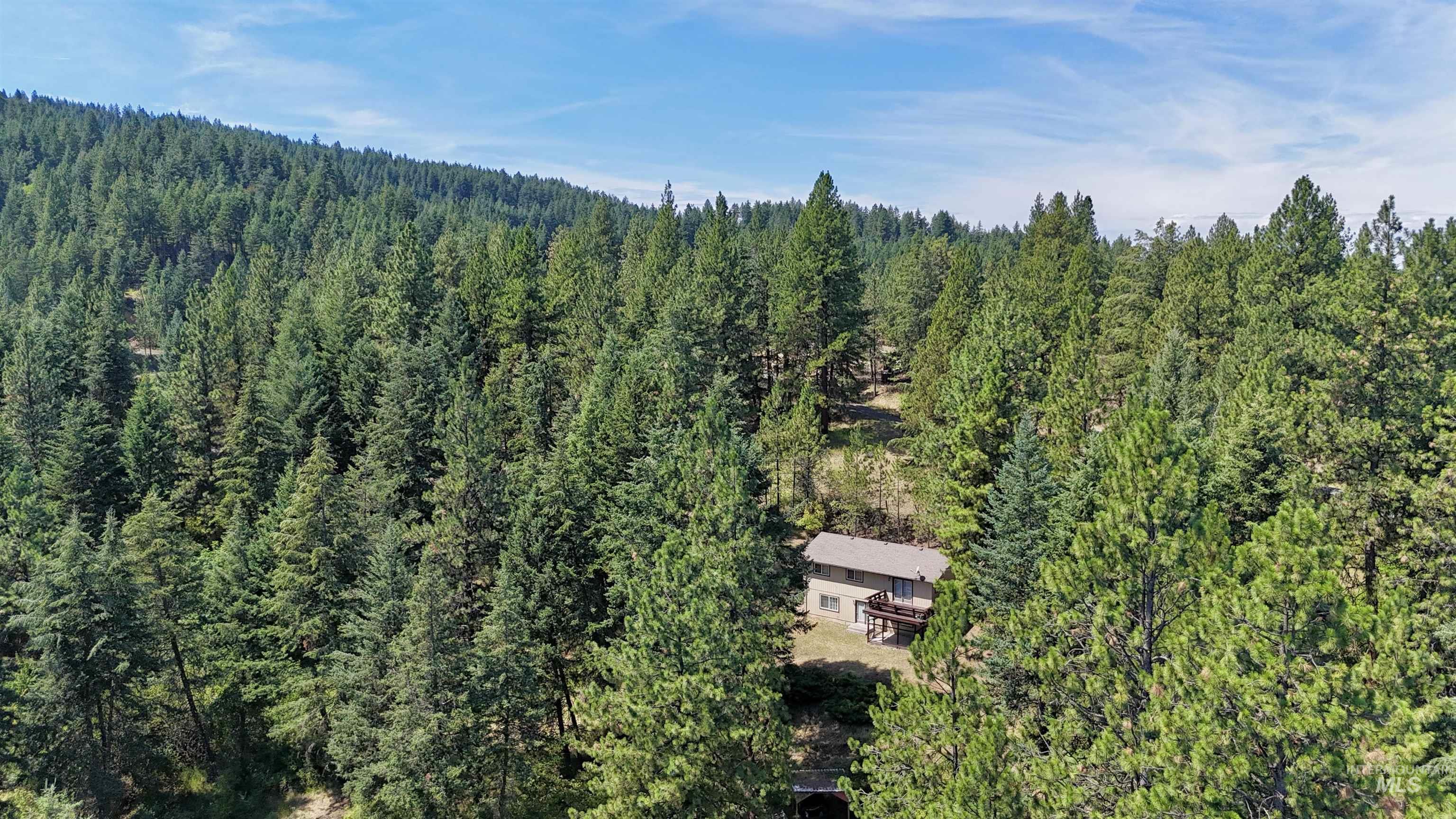 752 Mt Idaho Grade Road Grangeville, ID 83530 - Photo 22 of 29 View of property location featuring a heavily wooded area