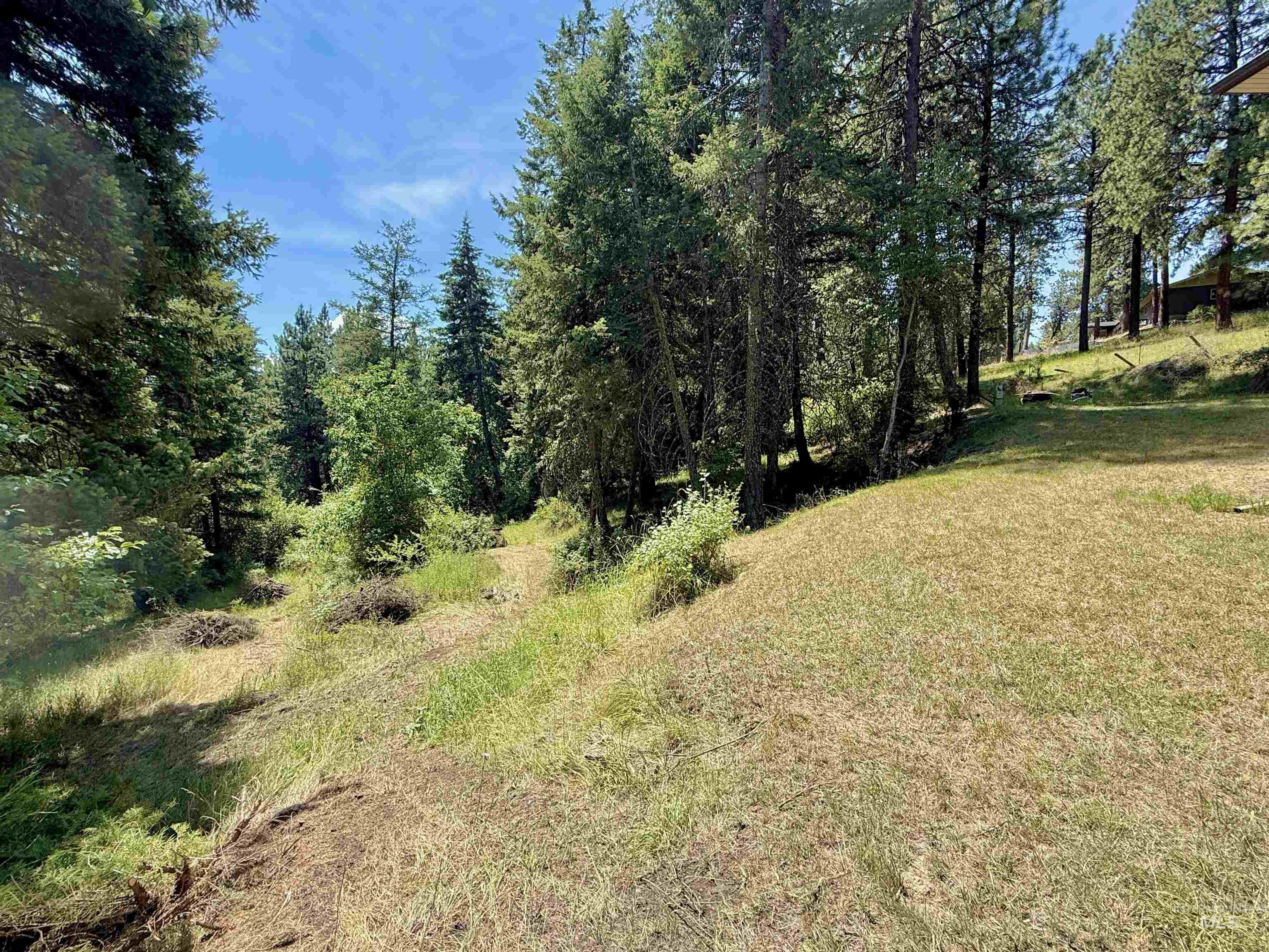 752 Mt Idaho Grade Road Grangeville, ID 83530 - Photo 23 of 29 View of undeveloped land