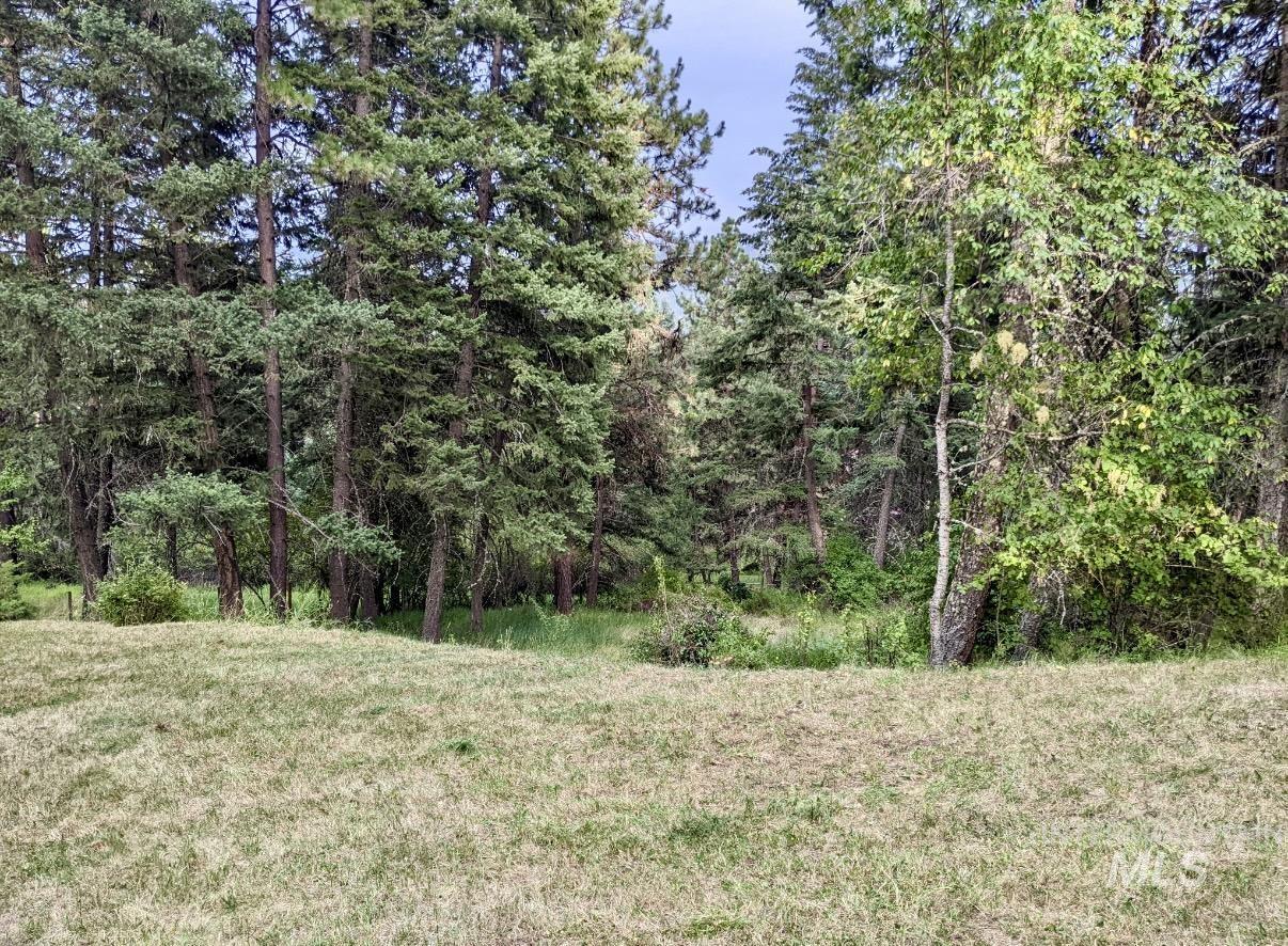 752 Mt Idaho Grade Road Grangeville, ID 83530 - Photo 24 of 29 View of woods