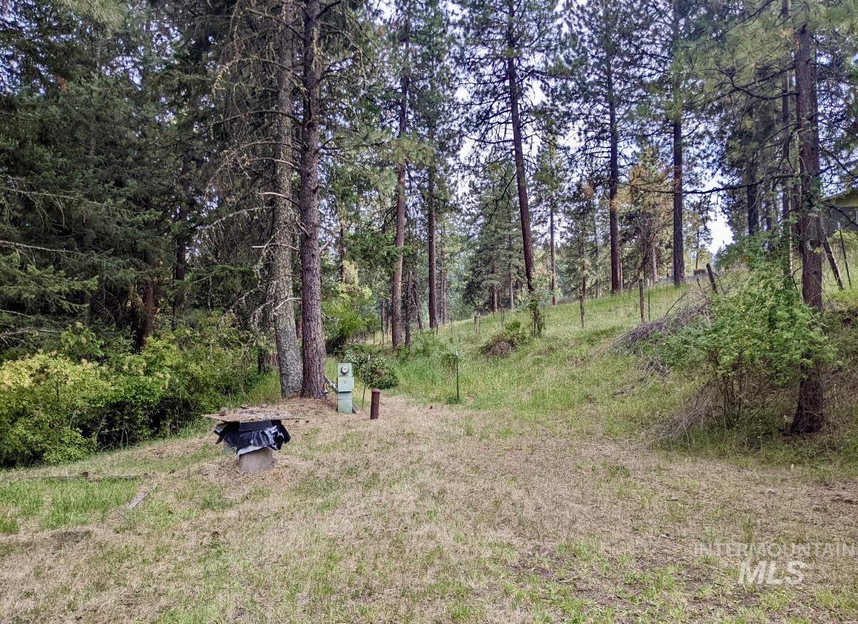 752 Mt Idaho Grade Road Grangeville, ID 83530 - Photo 25 of 29 View of yard featuring a forest view