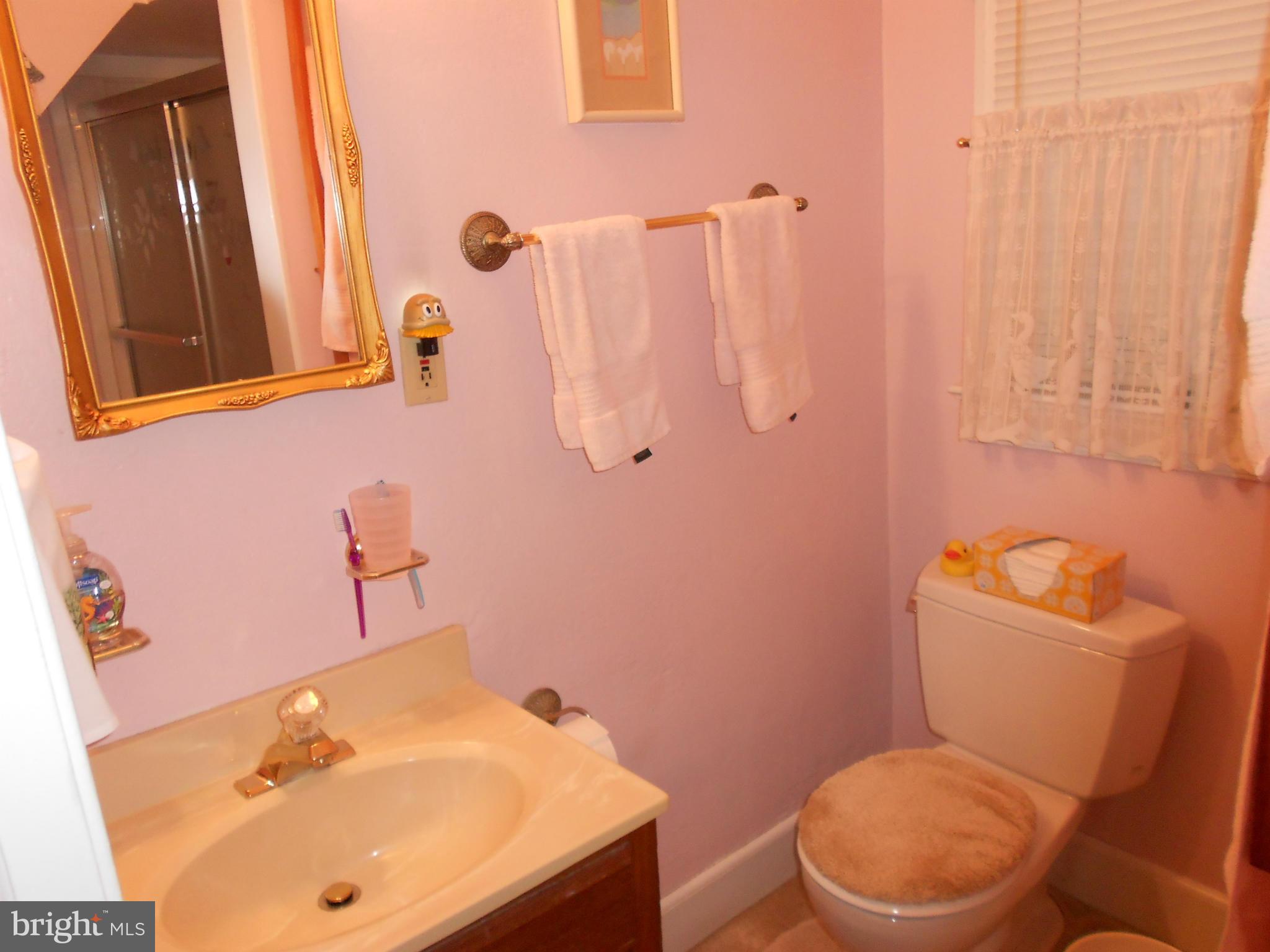 14191 Goldvein Road Goldvein, VA 22720 - Photo 18 of 27 a bathroom with a sink a toilet and a mirror