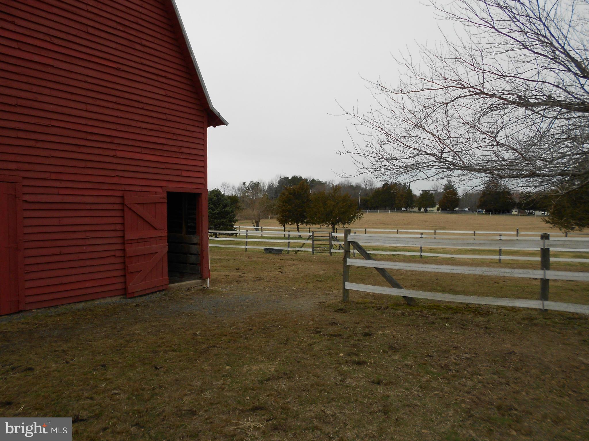 14191 Goldvein Road Goldvein, VA 22720 - Photo 24 of 27 a view of a backyard