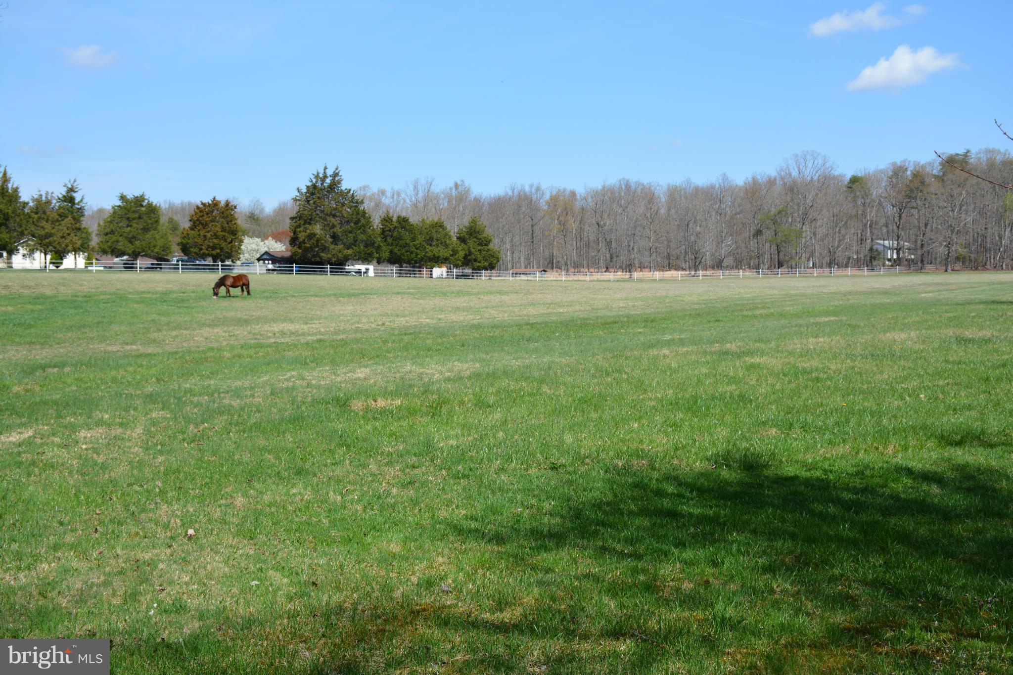 14191 Goldvein Road Goldvein, VA 22720 - Photo 26 of 27