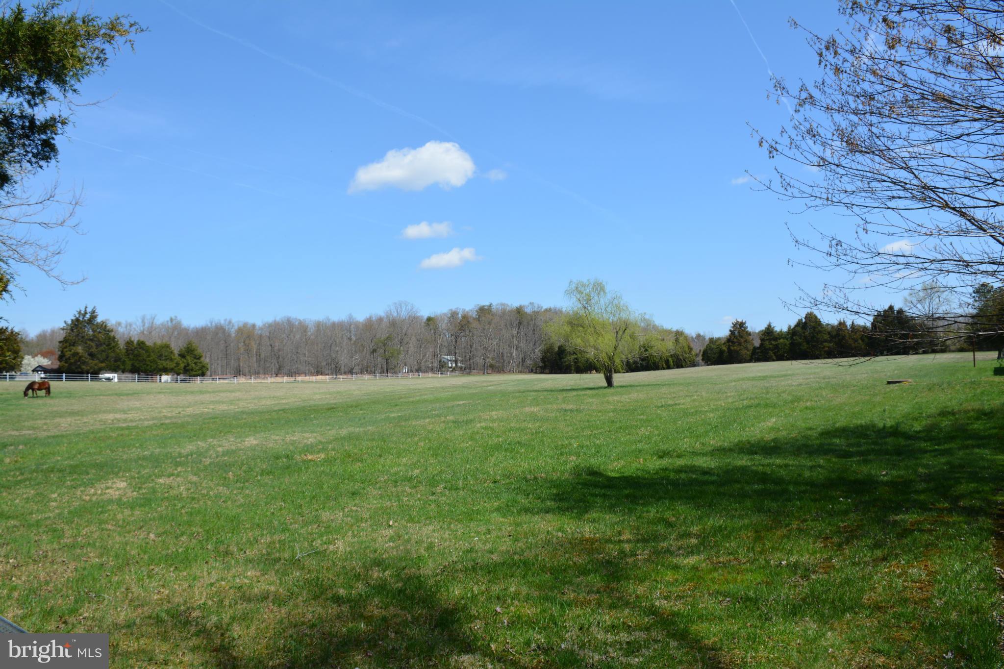 14191 Goldvein Road Goldvein, VA 22720 - Photo 27 of 27 a view of field with grass