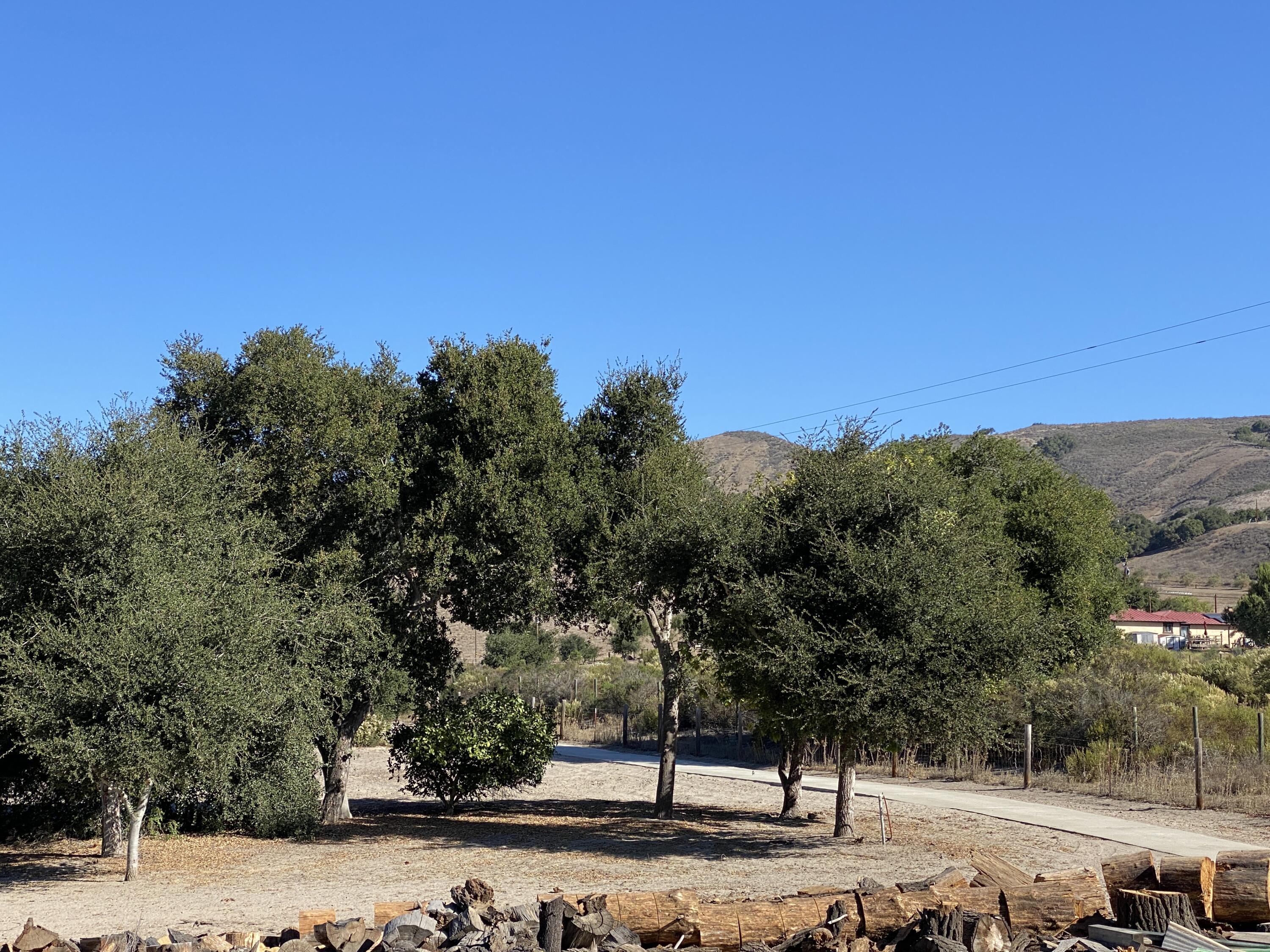 5355 Campbell Road Lompoc, CA 93436 - Photo 6 of 35 a view of a yard with trees